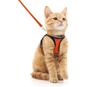 مجموعة سرج ومقود للقطط من Rabbitgoo للمشي ومقاومة للهروب، سترة قطط ناعمة قابلة للتعديل مع شريط عاكس للقطط، سترة مريحة للاستخدام في الهواء الطلق، برتقالي، مقاس M in Kuwait