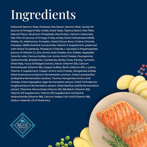 Blue Buffalo Basics Grain-Free Adult Dry Dog Food, Skin & Stomach Care, Limited Ingredient Diet for Dogs, Salmon Recipe, 4-lb. Bag in Saudi Arabia