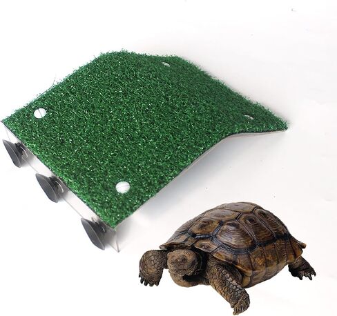 Large turtle basking platform for aquatic turtles, Turtle dock, Turtle ramp, Floating dock turtle with Green Dill and Sucker -SIZE:L in Saudi Arabia