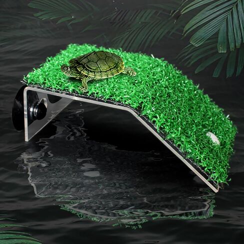 Large turtle basking platform for aquatic turtles, Turtle dock, Turtle ramp, Floating dock turtle with Green Dill and Sucker -SIZE:L in Saudi Arabia