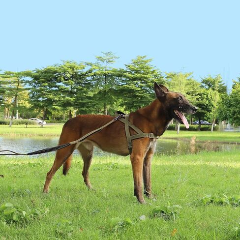 حزام مضاد للسحب للكلاب، حزام عاكس للجراء بمقبض ناعم مبطن، حزام للحيوانات الأليفة مقاوم للهروب/سريع التركيب وقابل للتعديل للكلاب الصغيرة والمتوسطة والكبيرة، سهل للتدريب على المشي (أحمر، صغير) in Kuwait