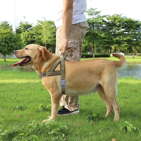 حزام مضاد للسحب للكلاب، حزام عاكس للجراء بمقبض ناعم مبطن، حزام للحيوانات الأليفة مقاوم للهروب/سريع التركيب وقابل للتعديل للكلاب الصغيرة والمتوسطة والكبيرة، سهل للتدريب على المشي (أحمر، صغير) in Kuwait