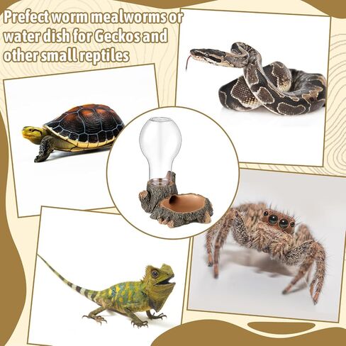 2 Pcs Automatic Reptile Water Dispenser 13.5oz Large Bearded Dragon Water Bowl Reptile Water Dish Reptile Water Feeder for Terrarium Tank, Turtle, Geckos, Frog, Tortoise, Amphibians, lizards in Saudi Arabia