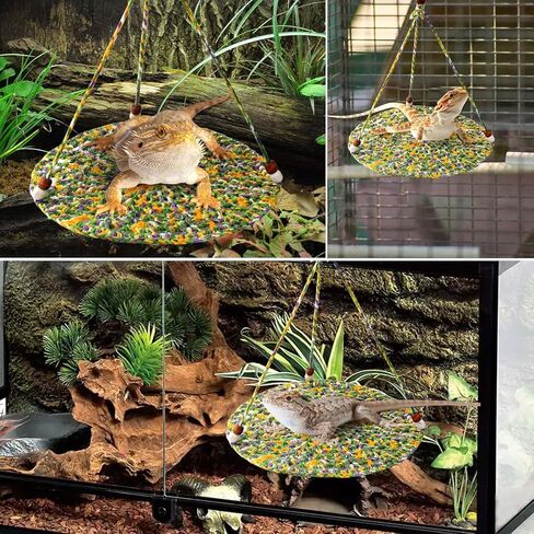 أرجوحة التنين الملتحية، ملحقات خزان التنين الملتحي، أرجوحة الزواحف أرجوحة معلقة سرير لتسلق سحلية الفهد أبو بريص in Kuwait