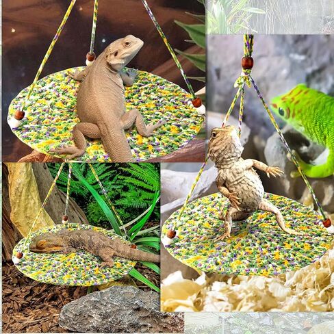 أرجوحة التنين الملتحية، ملحقات خزان التنين الملتحي، أرجوحة الزواحف أرجوحة معلقة سرير لتسلق سحلية الفهد أبو بريص in Kuwait