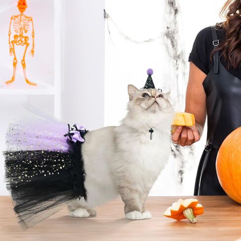 Pet Halloween Witch Costume for Cat Kitten Witch's Hat & Black Tutu Skirt Cat Bandana Purple Wizard Cosplay Outfits Small Pet Halloween Costume for Puppies Cats L in Saudi Arabia