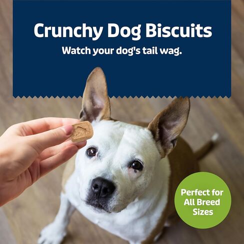 Blue Buffalo Health Bars Mini Crunchy Dog Biscuits, Oven-Baked with Natural Ingredients, Apples & Yogurt, 16-oz. Bag in Saudi Arabia