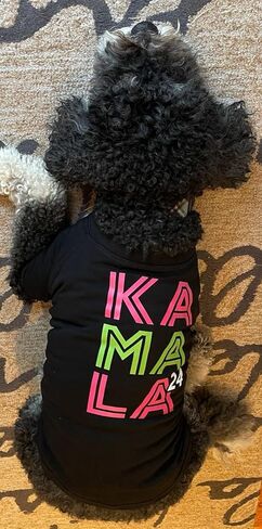 Dog T Shirt Kamala for President 2024 (Medium) in Kuwait