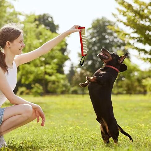 LWBMG Dog Rope Toy, Dog Jute Bite Pillow with 2 Strong Handles, Tug of War Dog Toy,Perfect for Puppy Training Interactive Playing, Pull Toy for Medium to Large Dogs in Saudi Arabia