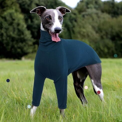 IECOii Greyhound Jumpsuit, Greyhound Coats Greyhound Pullover Sweater Turtleneck,Greyhound Pajamas for Large Dogs,Fall Winter Sweaters for Italian Greyhound,Thermal Greyhound Clothes Whippet Coat,L in Kuwait