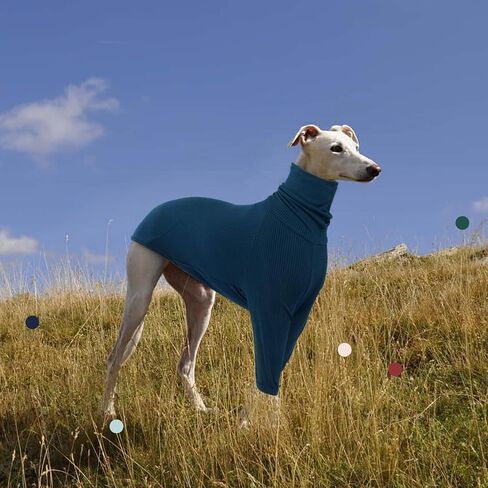 IECOii Greyhound Jumpsuit, Greyhound Coats Greyhound Pullover Sweater Turtleneck,Greyhound Pajamas for Large Dogs,Fall Winter Sweaters for Italian Greyhound,Thermal Greyhound Clothes Whippet Coat,L in Kuwait