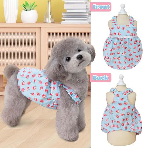 2 Pieces Dog Dress Dog Clothes for Small Dogs Girl,Puppy Sleeveless Dresses Pet Pullover Vest Skirt,Cute Peach Print Clothes Pet Shirt Breathable Outfits for Dogs Cats Apparel (Heart, X-Small) in Kuwait