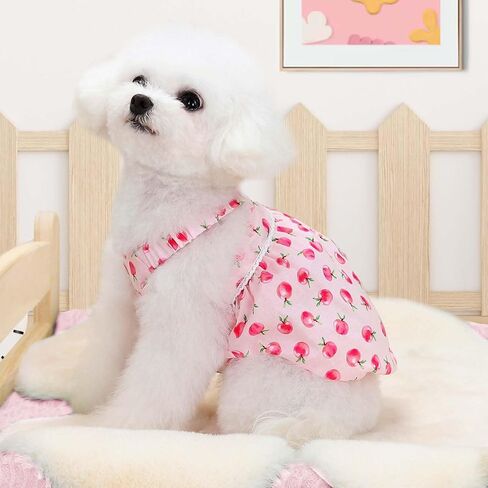 2 Pieces Dog Dress Dog Clothes for Small Dogs Girl,Puppy Sleeveless Dresses Pet Pullover Vest Skirt,Cute Peach Print Clothes Pet Shirt Breathable Outfits for Dogs Cats Apparel (Heart, X-Small) in Kuwait