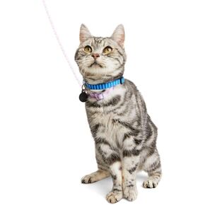Youly Galaxy Kitten Harness & Leash Set Pink X-Small