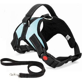 No Pull Dog Harness, Breathable Adjustable Comfort, Free Leash Included, for Small Medium Large Dog, Best for Training Walking LightBlue XS