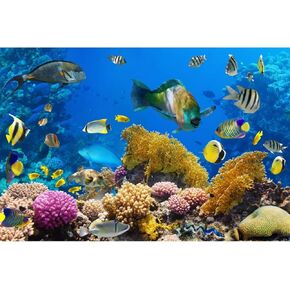 AWERT Polyester Underwater World Fish Tank Background 30x12 inches Undersea Theme Aquarium Background Colorful Coral Tropical Fish Tank Background