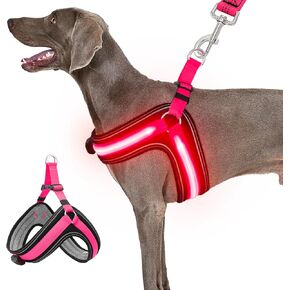 Dog Harness,Ayaseen Dog Lighted Harness,No Escape Dog Harness with Durable Buckle,No Chocking,Adjustable Reflective Breathable Harness with Double Traction D-Ring,Orange Harness-Glow Green