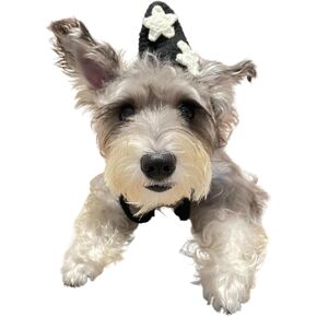 Zoo Snoods Pet Hat for Cats & Dogs - Green with Yellow Petal Pattern Design, Winter Dog Hat with Ear Holes, Perfect for Halloween, Christmas, and Party Costume Headwear Accessories (Sunflower, Small)