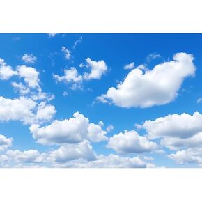 حوض السمك خلفية السماء الزرقاء الغيوم الصغيرة خلفية تررم الركام السحب البيضاء في السماء الزرقاء الصافية خزان الأسماك خلفية خزان حوض السمك خلفية ملصق الزواحف الموائل خلفية الفينيل 30x18in