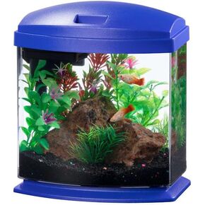 Aqueon 00800197: Aquarium Kit Mini Bow Led Blue 1G