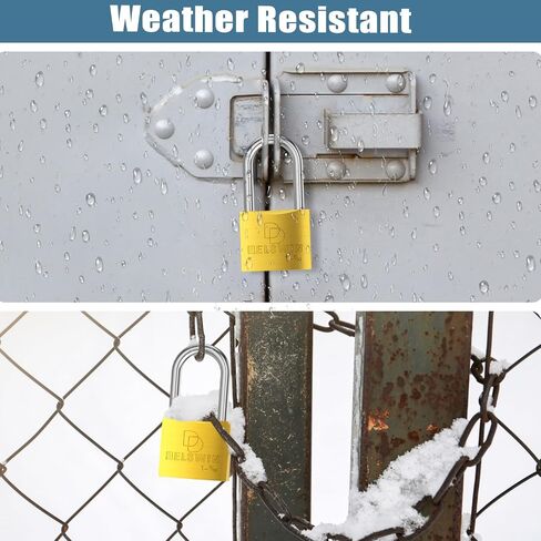 DELSWIN Weatherproof Padlock with Key - Heavy Duty Gym Locker Lock with 1-9/16" Solid Brass Lock Body, Hardened Steel Shackle, Marine Grade Pad Lock for Outdoor Gate, Fence, Shed (Keyed Alike, 2 Pack) in Saudi Arabia