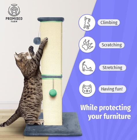 Tall Cat Scratching Post 32 Inches - Protects Furniture - Durable and Sturdy Design - Aesthetic Cat Accessories Essentials Grey/Blue in Saudi Arabia