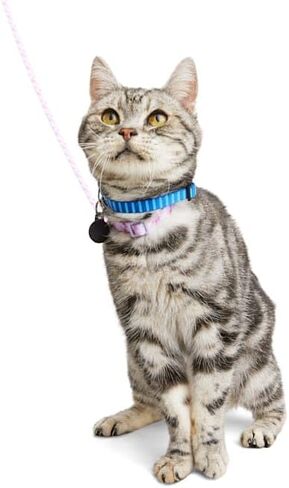 Youly Galaxy Kitten Harness & Leash Set Pink X-Small in Saudi Arabia
