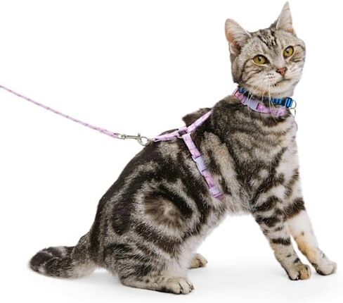 Youly Galaxy Kitten Harness & Leash Set Pink X-Small in Saudi Arabia