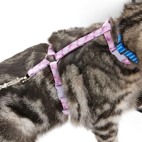Youly Galaxy Kitten Harness & Leash Set Pink X-Small in Saudi Arabia