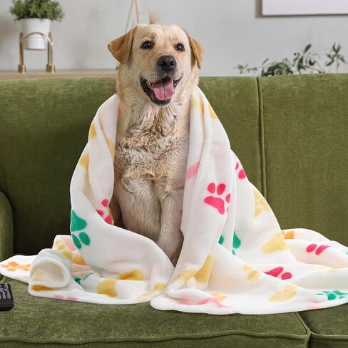 20 Pcs Puppy Blankets with Paw Print Soft Fluffy Fleece Pet Blankets Sleep Mat Flannel Throw Washable for Small Medium Large Dogs Puppy Cats, 10 Styles (24 x 16 Inches) in Saudi Arabia