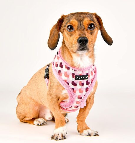 Puppia Arden Harness A - Pink - M in Kuwait