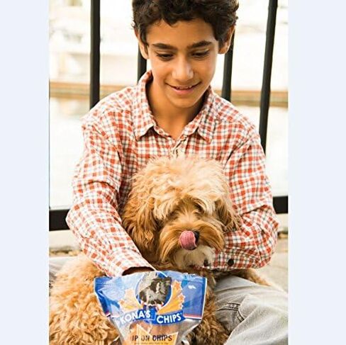 KONA'S Chips Mini Chicken Chews (16 أونصة) لدغات الدجاج الناعمة للكلاب، قضمات صغيرة الحجم من الدجاج المتشنج للكلاب in Saudi Arabia