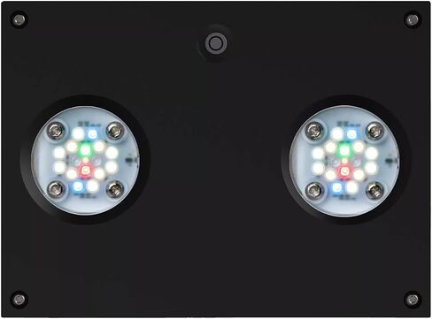 AquaIllumination Hydra 32 LED Freshwater Planted Aquarium Light - Black in Saudi Arabia