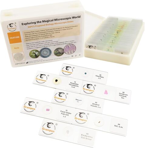 30 Prepared Microscope Slides with Specimens for Kids Students - Plants, for Biological Science Lab, Children's Science Education, Homeschooling Use in Saudi Arabia