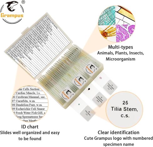 30 Prepared Microscope Slides with Specimens for Kids Students - Plants, for Biological Science Lab, Children's Science Education, Homeschooling Use in Saudi Arabia