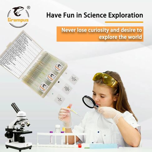 30 Prepared Microscope Slides with Specimens for Kids Students - Plants, for Biological Science Lab, Children's Science Education, Homeschooling Use in Saudi Arabia