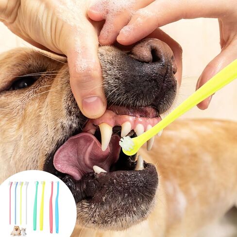 8pcs Pet Toothbrush, 3 Styles Cat & Dog Toothbrush Micro Brush Head Puppy Mini Toothbrush Soft Bristle Small Dog Dental Clean Kit for Teeth Clean Plaque Tartar Formation (Colour 2) in Saudi Arabia
