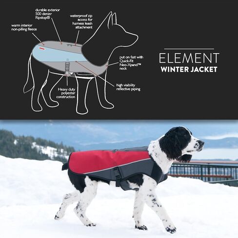EzyDog Element Best Dog Jacket - Premium Wind and Waterproof Reflective Dog Coat for Safety and Protection - Provides Leash Access to Harness or Collar (Medium, Orange) in Kuwait