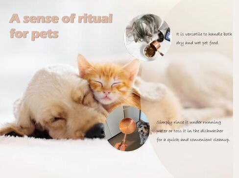 1 CUP Dog-Cat Food Scoop Measuring-Cup, 304 Stainless Steel Pet Food Scoop, Cat Food Measuring Cup in Kuwait