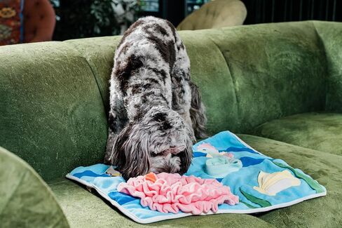 Injoya Under the Sea Snuffle Mat for Dogs, Large Dog Snuffle Mat 21"x18.5", Dog Enrichment Tool & Slow Feeder, Multiple Snuffle Types, Durable, Machine Washable, Good for All Dog Sizes, Breeds, & Ages in Saudi Arabia