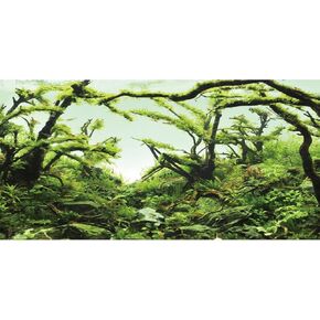 AWERT 72x24 inches Branches Aquarium Background Chlorella Aquarium Background Aquatic Plant River Bed & Lake Fish Tank Background Vinyl Background