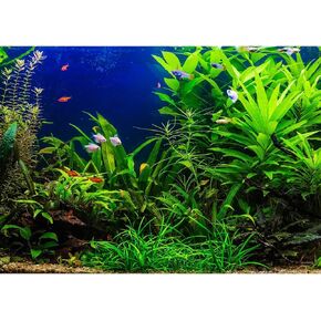 Aquarium Background Aquatic Plants Fish Tank Background Stone River Bed & Lake Aquarium Background Tropical Fish Tank Background Undersea Tree Branches Aquarium Background Vinyl 36x24in