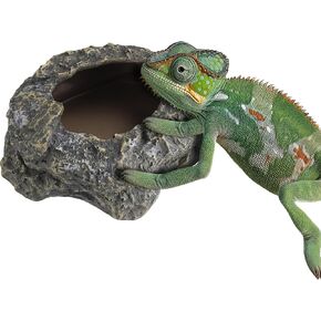 Navaris Reptile Feeder - for Tortoise Bearded Dragon Snake & Amphibians - Accessories for Reptiles Terrarium Enclosure - Use As Food or Water Bowl Dish or Bath