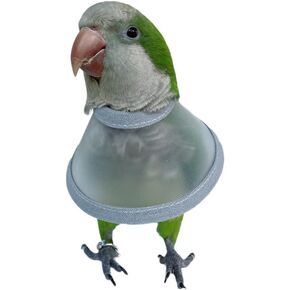 Adjustable Parrot Cone Collar, Safe and Practical Cotton Collar to Prevent Bites and Licking Wounds, to Help heal (S)