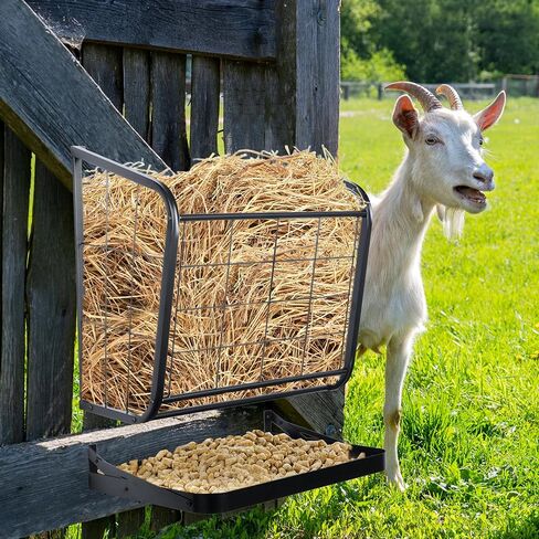 Hay Feeder Goat, 23 Gallon Wall Mounted Hay Rack, 2 in 1 Metal Hay and Grain Feeder, Distance Adjustable Livestock Feeders, Hay Feeders for Goats, Sheep, Horses in Kuwait