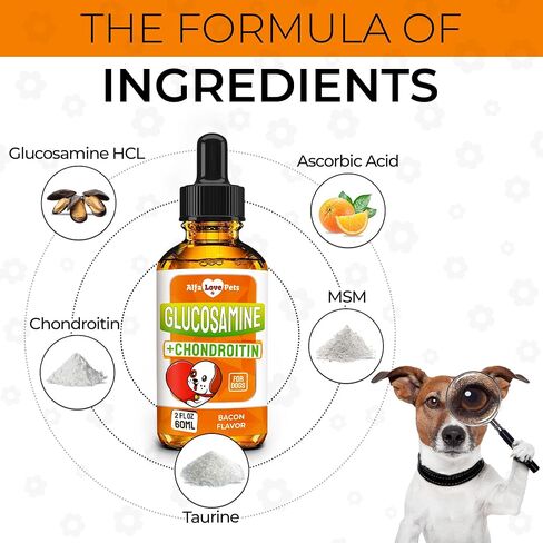 Glucosamine for Dogs ✿ Hip and Joint Supplement Dogs ✿ Dog Joint Supplement ✿ Glucosamine Chondroitin for Dogs ✿ Dog Joint Supplement ✿ Dog Glucosamine ✿ Drops ✿ 3 Packs in Saudi Arabia