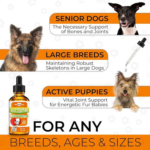 Glucosamine for Dogs ✿ Hip and Joint Supplement Dogs ✿ Dog Joint Supplement ✿ Glucosamine Chondroitin for Dogs ✿ Dog Joint Supplement ✿ Dog Glucosamine ✿ Drops ✿ 3 Packs in Saudi Arabia