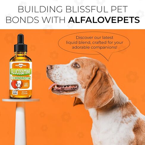 Glucosamine for Dogs ✿ Hip and Joint Supplement Dogs ✿ Dog Joint Supplement ✿ Glucosamine Chondroitin for Dogs ✿ Dog Joint Supplement ✿ Dog Glucosamine ✿ Drops ✿ 3 Packs in Saudi Arabia