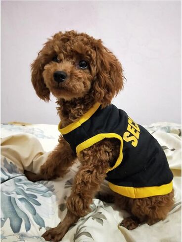 Pet Clothes, Cool Security Vest Pet Puppy T-Shirt Cotton Clothing Apparel Cat Spring Summer Breathable Sleeveless Harness Costume Clothes for Small Dogs (L, Black) in Saudi Arabia