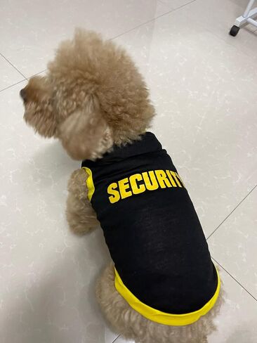 Pet Clothes, Cool Security Vest Pet Puppy T-Shirt Cotton Clothing Apparel Cat Spring Summer Breathable Sleeveless Harness Costume Clothes for Small Dogs (L, Black) in Saudi Arabia